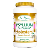 DR.POPOV Psyllium Cholesterol 120 kapslí