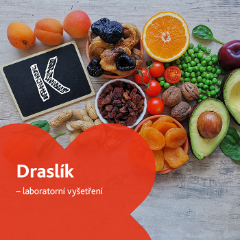 Draslík - laboratorní vyšetření (Stanovení hladiny vitamínů a minerálů)