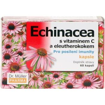 Echinacea kapsle s vitamínem C cps.60 (Dr.Müller)