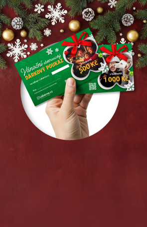 Dárkové poukazy elektronické