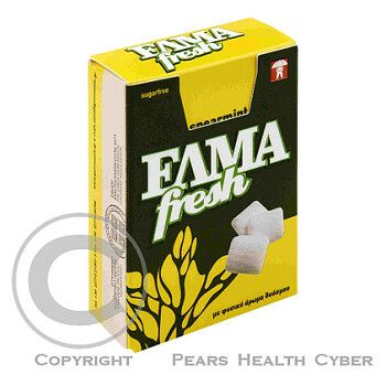 ELMA Fresh Spearmint Chewing Gum  (Žvýkačky, pastilky) - Neovocné