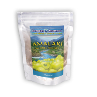 EVEREST AYURVEDA Amalaki natural Imunita a žaludek 100 g sušeného ovoce EVEREST AYURVEDA Amalaki natural Imunita a žaludek 100 g sušeného ovoce
