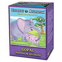 EVEREST AYURVEDA Gopal pohodlné dýchání sypaný čaj 100 g