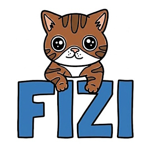 FIZI