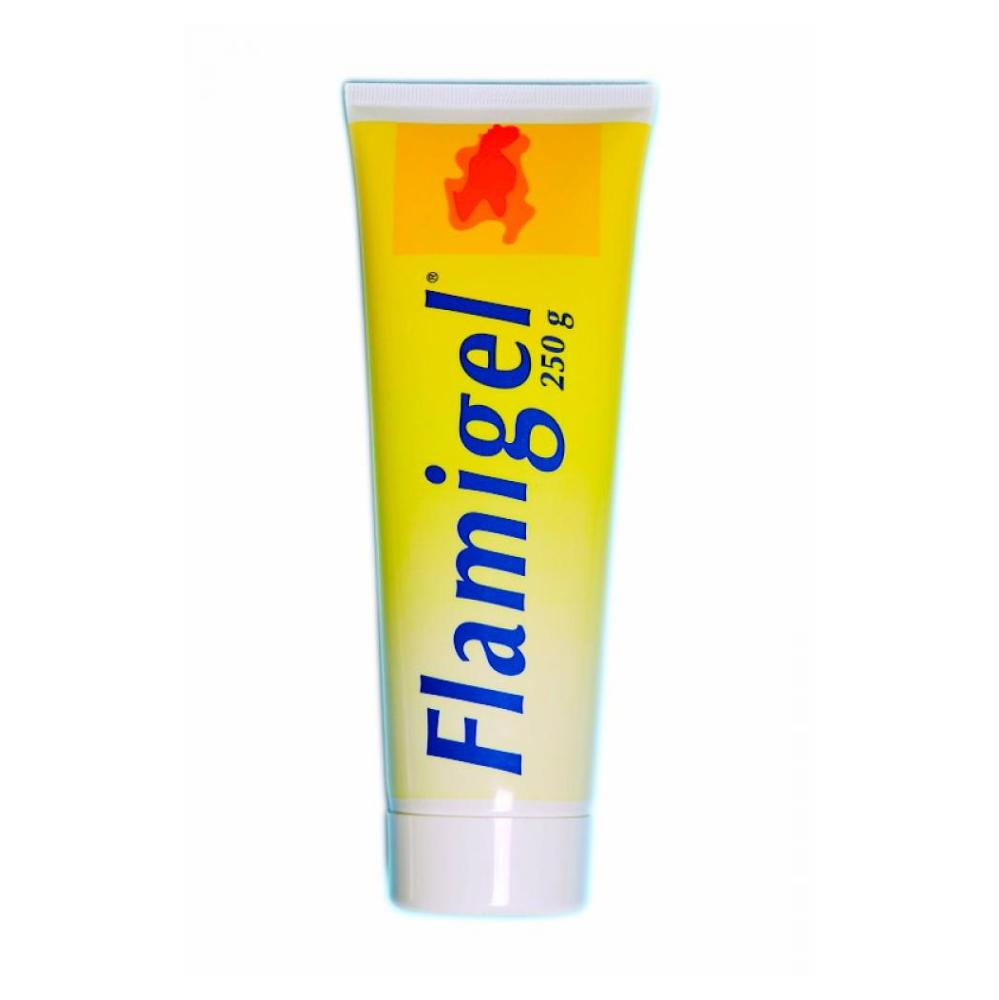 E-shop FLAMIGEL hydrokoloidní gel na hojení ran 250 g