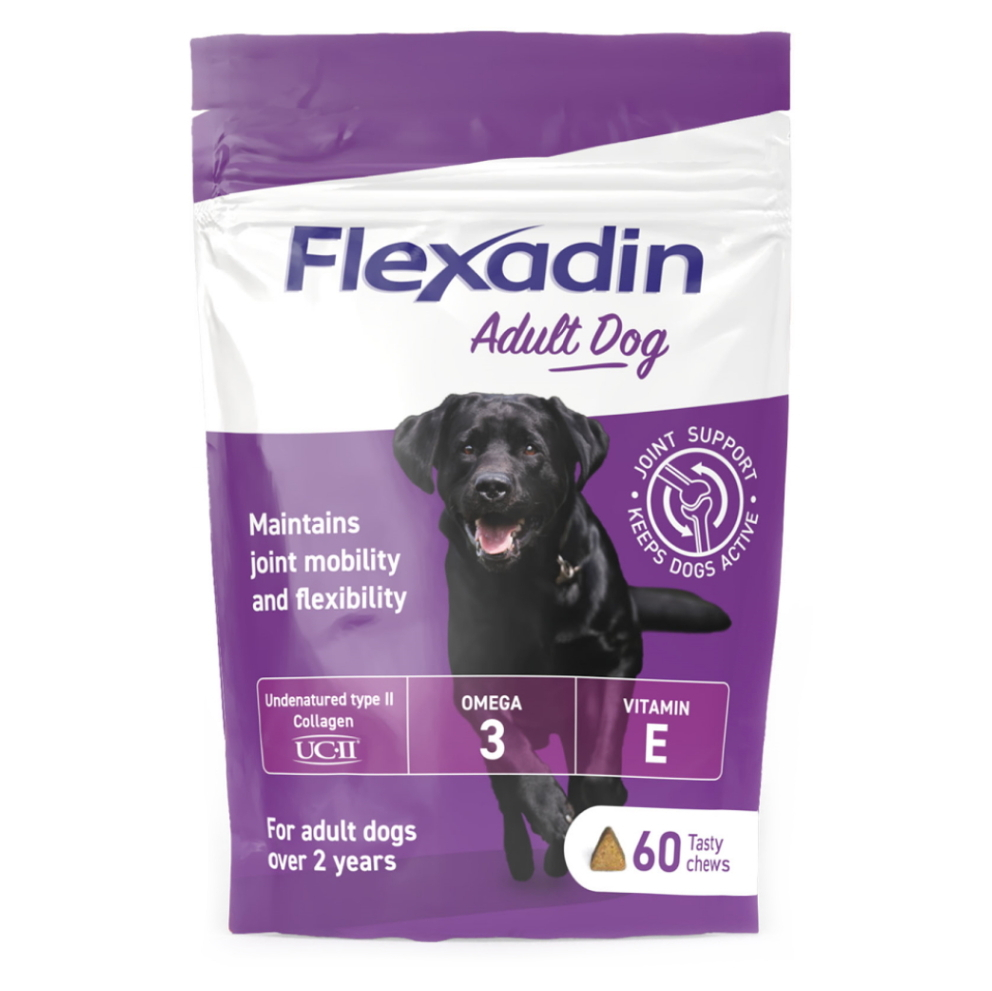 E-shop FLEXADIN Adult dog 60 žvýkacích tablet