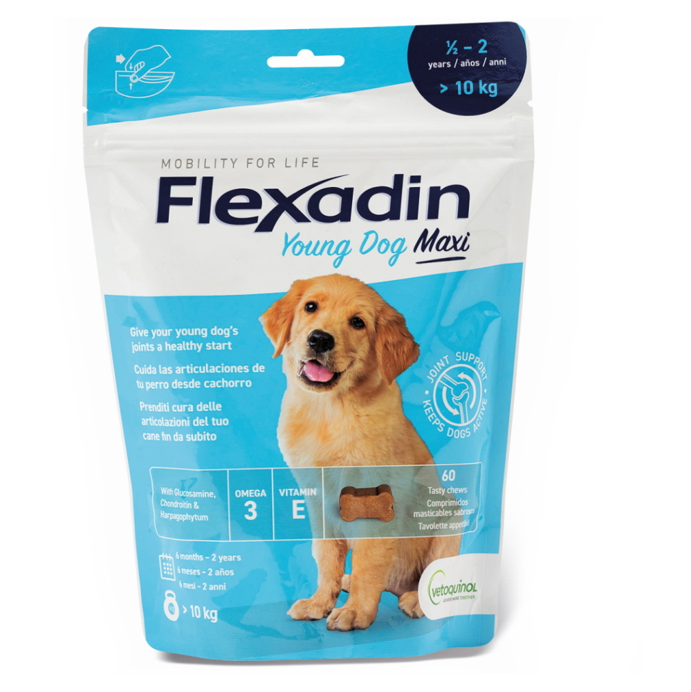 Levně FLEXADIN Young Dog Maxi 60 žvýkacích tablet