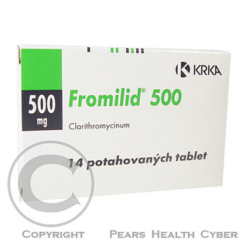 FROMILID 500  14X500MG Potahované tablety
