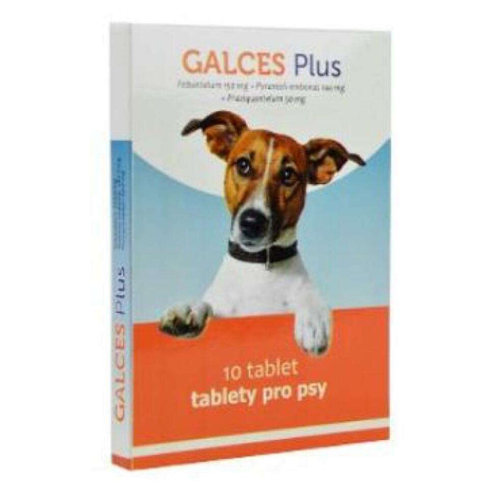 Levně GALCES Plus 10 tablet