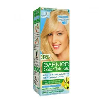 GARNIER Color Naturals Barva na vlasy odstín 112 blond