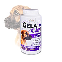 GELACAN baby 1000 g