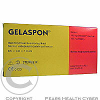 Gelaspon spn.1ks (8.5x4x1cm)