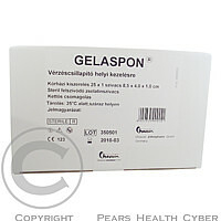 Gelaspon spn.25ks (8.5x4x1cm)