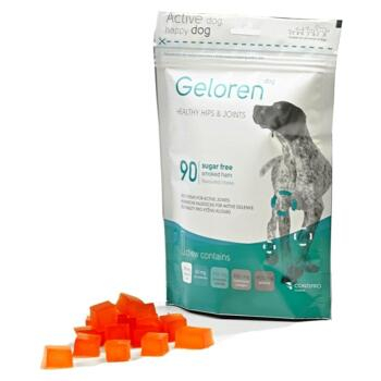 GELOREN Dog žvýkací gelové tablety pro psy 90 tablet