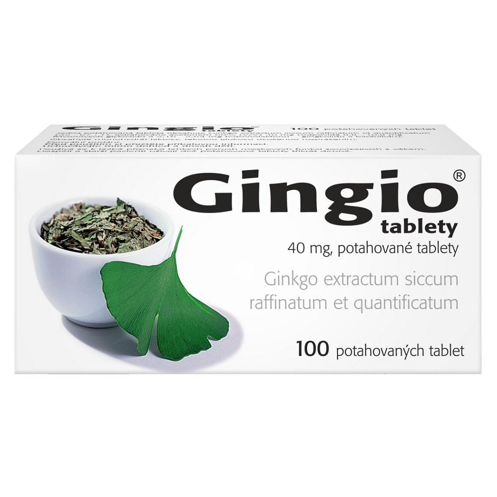 Levně GINGIO 40 mg 100 potahovaných tablet