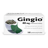 GINGIO 40 mg 100 potahovaných tablet