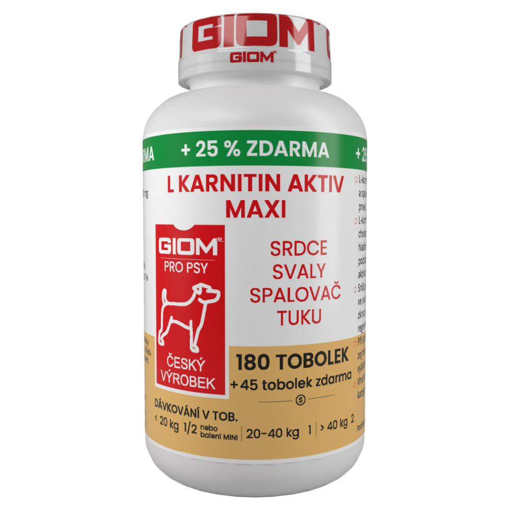 Levně GIOM L-karnitin Aktiv 60 MAXI tablet + 25% zdarma