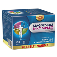 GLENMARK Magnesium B-komplex 100+20 tablet
