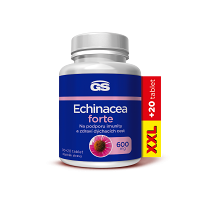 GS Echinacea forte 600 mg XXL 90 + 20 tablet