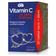 GS Vitamin C 1000 se šípky 100 + 20 tablet DÁRKOVÉ balení