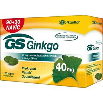 GS Ginkgo Forte 90 + 30 kapslí