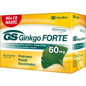 GS Ginkgo Forte 60mg tbl.40+15