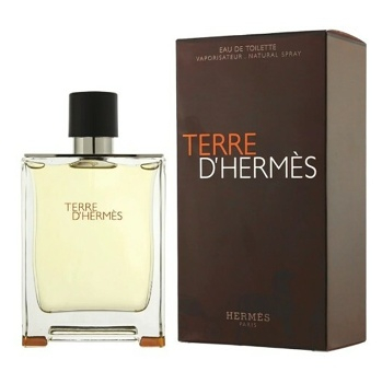 D´HERMÈS Terre D Hermes Toaletní voda 100 ml (Toaletní vody)