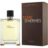 Hermes Terre D Hermes Toaletní voda 100 ml