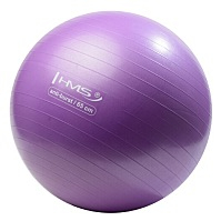 HMS YB02N gymnastický míč 65 cm fialový