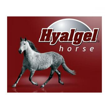HYALGEL Horse jablko 5 l ()