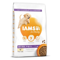 IAMS Dog Puppy Large Chicken granule pro psy 1 kus, Hmotnost balení (g): 12 kg