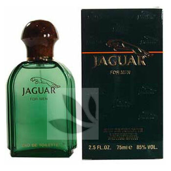 Jaguar For Men - toaletní voda s rozprašovačem 125 ml