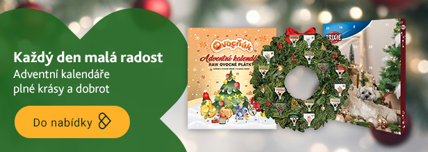 Adventní kalendáře