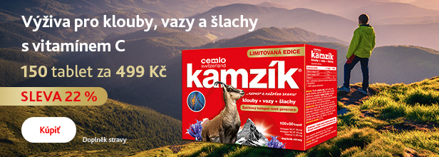 PC_Kamzik