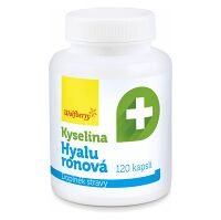 WOLFBERRY Kyselina hyaluronová 120 kapslí