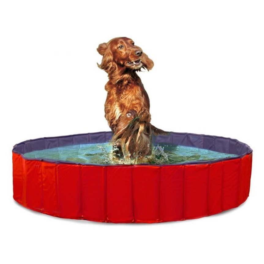 Levně KARLIE FLAMINGO Skládací bazén pro psy modro-červený 120x30 cm