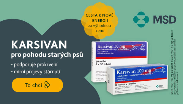 KARSIVAN