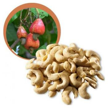 Kešu ořechy RAW BIO 100g (Ořechy a sušené plody) - BIO, RAW