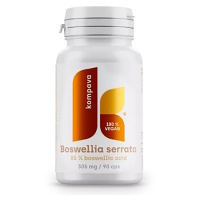 KOMPAVA Boswellia serrata 305 mg 90 kapslí