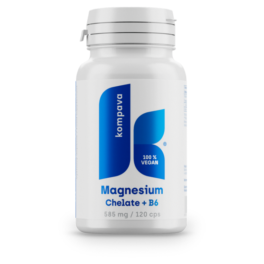 Levně KOMPAVA Magnesium chelate + B6 120 kapslí