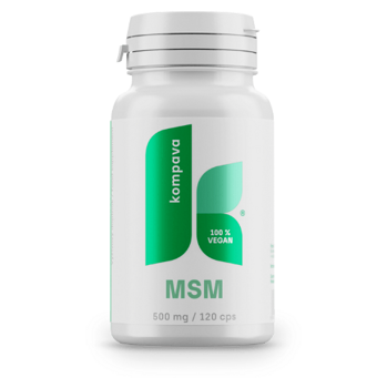 KOMPAVA MSM 500 mg 120 kapslí