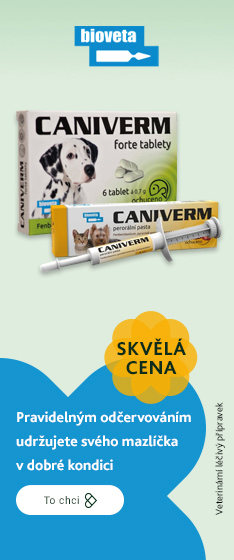 Caniverm