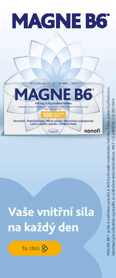 MAGNE B6