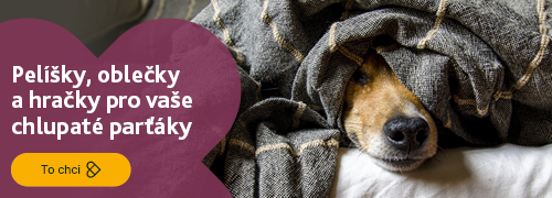 Široká nabídka pro psy
