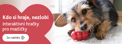Interaktivní hračky pro mazlíčky
