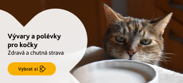 Polévky a vývary pro kočky