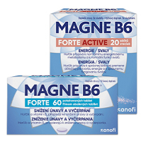 MAGNE B6