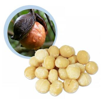 LIFEFOOD Makadámiové ořechy nepražené  BIO 100 g