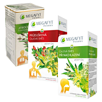 MEGAFYT Léčivé čaje