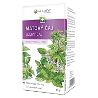 MEGAFYT Mátový čaj 20 sáčků